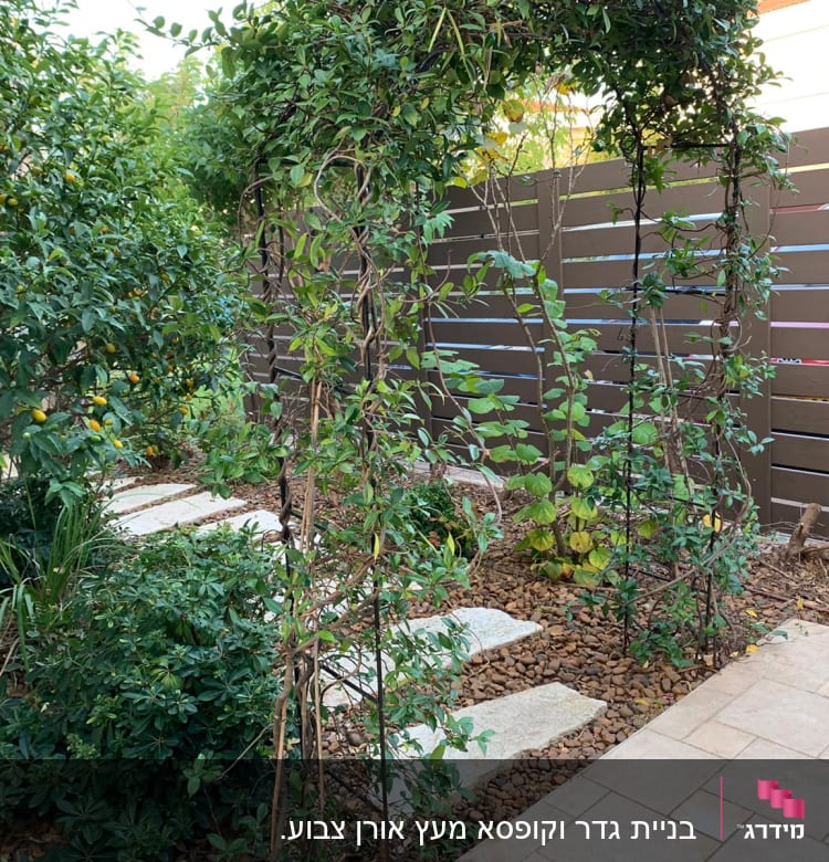 שביל אבנים בגינה עם צמחים מטפסים וגדר עץ